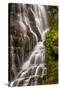 USA, North Carolina, Brevard. Waterfall in Dupont State Forest-Jaynes Gallery-Stretched Canvas