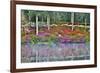 USA, North Carolina, Charleston., Azaleas reflecting in lake-Hollice Looney-Framed Photographic Print