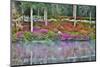 USA, North Carolina, Charleston., Azaleas reflecting in lake-Hollice Looney-Mounted Photographic Print