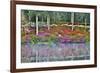 USA, North Carolina, Charleston., Azaleas reflecting in lake-Hollice Looney-Framed Premium Photographic Print