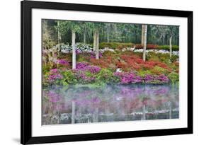 USA, North Carolina, Charleston., Azaleas reflecting in lake-Hollice Looney-Framed Premium Photographic Print