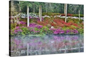 USA, North Carolina, Charleston., Azaleas reflecting in lake-Hollice Looney-Stretched Canvas