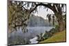 USA, North Carolina, Charleston., early morning mist on the lake-Hollice Looney-Mounted Photographic Print