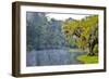 USA, North Carolina, Charleston., early morning mist on the lake-Hollice Looney-Framed Photographic Print