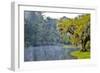 USA, North Carolina, Charleston., early morning mist on the lake-Hollice Looney-Framed Photographic Print