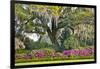 USA, North Carolina, Charleston., moss-covered tree and Azaleas-Hollice Looney-Framed Photographic Print