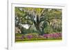 USA, North Carolina, Charleston., moss-covered tree and Azaleas-Hollice Looney-Framed Photographic Print