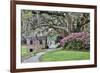 USA, North Carolina, Charleston., pathway through the plantation-Hollice Looney-Framed Premium Photographic Print