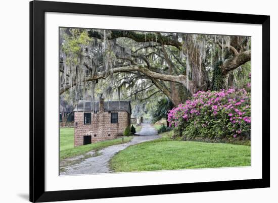 USA, North Carolina, Charleston., pathway through the plantation-Hollice Looney-Framed Premium Photographic Print