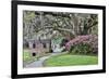 USA, North Carolina, Charleston., pathway through the plantation-Hollice Looney-Framed Premium Photographic Print