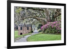 USA, North Carolina, Charleston., pathway through the plantation-Hollice Looney-Framed Premium Photographic Print