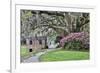 USA, North Carolina, Charleston., pathway through the plantation-Hollice Looney-Framed Photographic Print