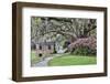 USA, North Carolina, Charleston., pathway through the plantation-Hollice Looney-Framed Photographic Print