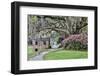 USA, North Carolina, Charleston., pathway through the plantation-Hollice Looney-Framed Photographic Print