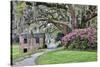 USA, North Carolina, Charleston., pathway through the plantation-Hollice Looney-Stretched Canvas