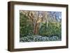 USA, North Carolina, Charleston., tree with Azaleas-Hollice Looney-Framed Photographic Print