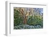 USA, North Carolina, Charleston., tree with Azaleas-Hollice Looney-Framed Photographic Print