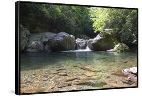 USA, North Carolina, Great Smoky Mountains National Park. Big Creek Trail. Midnight Hole-Trish Drury-Framed Stretched Canvas