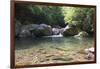 USA, North Carolina, Great Smoky Mountains National Park. Big Creek Trail. Midnight Hole-Trish Drury-Framed Photographic Print