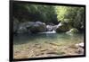 USA, North Carolina, Great Smoky Mountains National Park. Big Creek Trail. Midnight Hole-Trish Drury-Framed Photographic Print