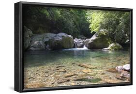 USA, North Carolina, Great Smoky Mountains National Park. Big Creek Trail. Midnight Hole-Trish Drury-Framed Photographic Print