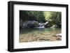 USA, North Carolina, Great Smoky Mountains National Park. Big Creek Trail. Midnight Hole-Trish Drury-Framed Photographic Print