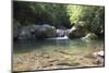 USA, North Carolina, Great Smoky Mountains National Park. Big Creek Trail. Midnight Hole-Trish Drury-Mounted Photographic Print