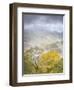 USA, North Carolina, Great Smoky Mountains National Park. Fog and autumn color from Deep Creek Over-Ann Collins-Framed Photographic Print