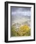 USA, North Carolina, Great Smoky Mountains National Park. Fog and autumn color from Deep Creek Over-Ann Collins-Framed Photographic Print