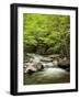 USA, North Carolina, Great Smoky Mountains National Park, Straight Fork Flows Through Forest-Ann Collins-Framed Photographic Print