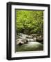 USA, North Carolina, Great Smoky Mountains National Park, Straight Fork Flows Through Forest-Ann Collins-Framed Photographic Print