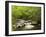 USA, North Carolina, Great Smoky Mountains National Park, Straight Fork Flows Through Forest-Ann Collins-Framed Photographic Print