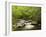 USA, North Carolina, Great Smoky Mountains National Park, Straight Fork Flows Through Forest-Ann Collins-Framed Photographic Print