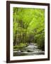 USA, North Carolina, Great Smoky Mountains National Park, Straight Fork Flows Through Forest-Ann Collins-Framed Photographic Print