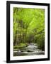 USA, North Carolina, Great Smoky Mountains National Park, Straight Fork Flows Through Forest-Ann Collins-Framed Photographic Print