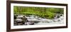 USA, North Carolina, Great Smoky Mountains National Park, Straight Fork-Ann Collins-Framed Photographic Print