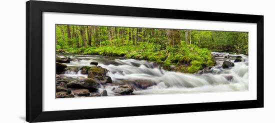 USA, North Carolina, Great Smoky Mountains National Park, Straight Fork-Ann Collins-Framed Photographic Print