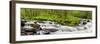 USA, North Carolina, Great Smoky Mountains National Park, Straight Fork-Ann Collins-Framed Photographic Print