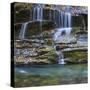 USA, North Carolina, Great Smoky Mountains. Scenic of Tom Branch Falls.-Jaynes Gallery-Stretched Canvas