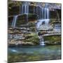 USA, North Carolina, Great Smoky Mountains. Scenic of Tom Branch Falls.-Jaynes Gallery-Mounted Photographic Print