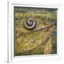 USA, North Carolina, Joyce Kilmer Memorial Forest. Centipede on a leaf.-Jaynes Gallery-Framed Photographic Print