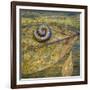 USA, North Carolina, Joyce Kilmer Memorial Forest. Centipede on a leaf.-Jaynes Gallery-Framed Photographic Print