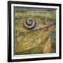 USA, North Carolina, Joyce Kilmer Memorial Forest. Centipede on a leaf.-Jaynes Gallery-Framed Photographic Print