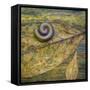 USA, North Carolina, Joyce Kilmer Memorial Forest. Centipede on a leaf.-Jaynes Gallery-Framed Stretched Canvas