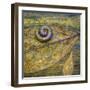 USA, North Carolina, Joyce Kilmer Memorial Forest. Centipede on a leaf.-Jaynes Gallery-Framed Photographic Print