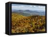 USA, North Carolina, Pisgah National Forest, View from the Blue Ridge Parkway's East Fork Overlook-Ann Collins-Framed Stretched Canvas