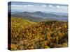 USA, North Carolina, Pisgah National Forest, View from the Blue Ridge Parkway's East Fork Overlook-Ann Collins-Stretched Canvas