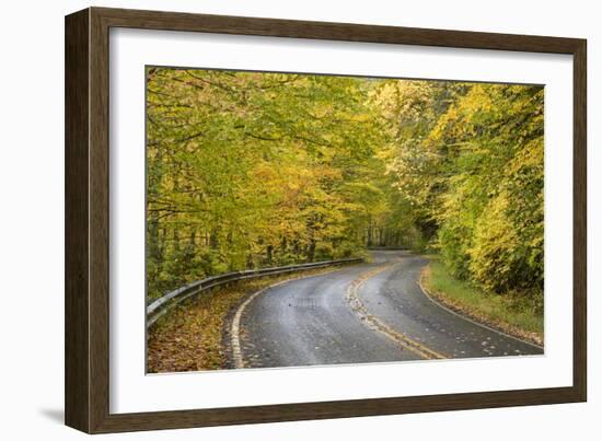 USA, North Carolina. Road Through Autumn-Colored Forest-Don Paulson-Framed Photographic Print