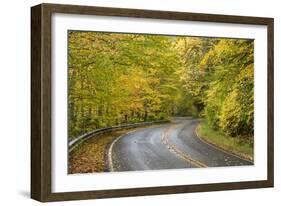 USA, North Carolina. Road Through Autumn-Colored Forest-Don Paulson-Framed Photographic Print