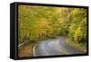 USA, North Carolina. Road Through Autumn-Colored Forest-Don Paulson-Framed Stretched Canvas